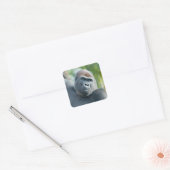 Sticker Carré Gorille curieux debout (Enveloppe)