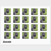 Sticker Carré Gorille des plaines à dos argenté, Gorilla gorilla (Feuille)