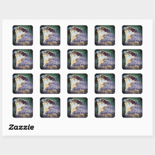 Sticker Carré Goshawk du Nord [Sceau Carré]