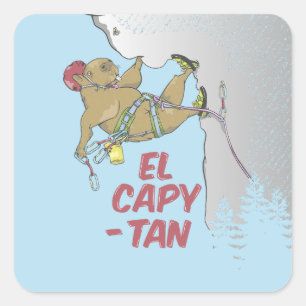 Sticker Carré Graines de tournesol