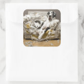 Sticker Carré Grand Danse Chevauché Canapé Pet Sitter Chien Walk (Sac)