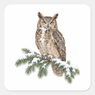 Sticker Carré Grand-duc perché sur une branche de sapin enneigée