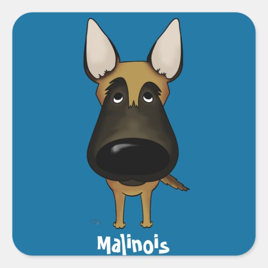 Sticker Carré Grand nez Malinois (Devant)