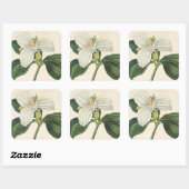 Sticker Carré Grand Trillium Fleuri (Feuille)
