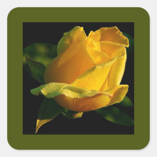 Sticker Carré Grande rose jaune
