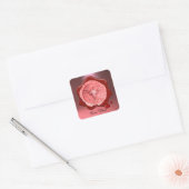 Sticker Carré GRAPE rose VINE ROUGE CIRE SEIGNE (Enveloppe)