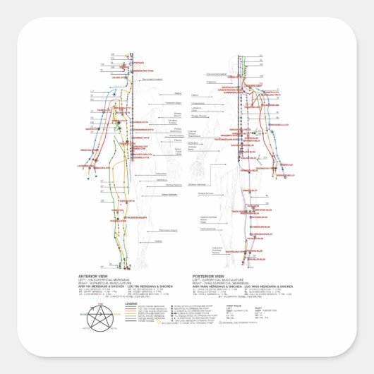 Sticker Carré Graphique des méridiens humains (Devant)