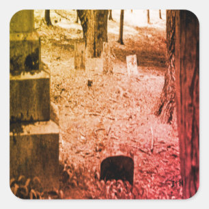 Sticker Carré Grave oubliée