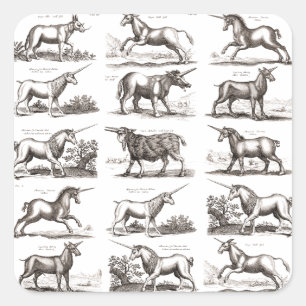 Sticker Carré Gravure de licorne antique Spécimen de zoologie vi