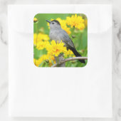 Sticker Carré Gray Catbird on wooden fence (Sac)