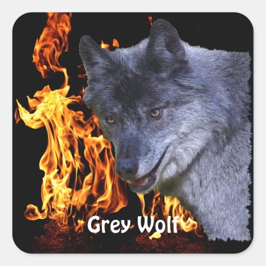 Sticker Carré GRAY WOLF & FOREST FIRE Wildlife Supporter (Devant)