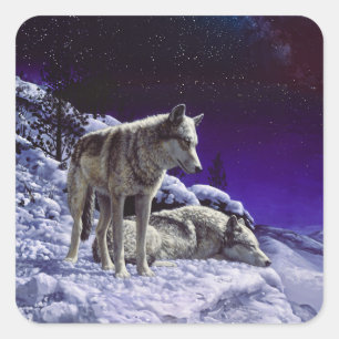 Sticker Carré Gray Wolves