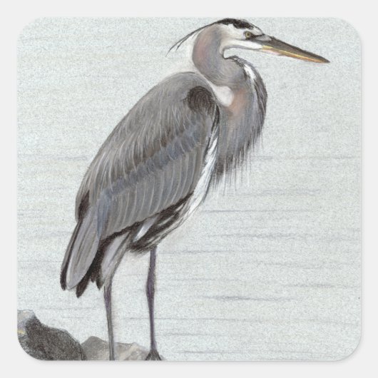 Sticker Carré Great Blue Heron (Devant)