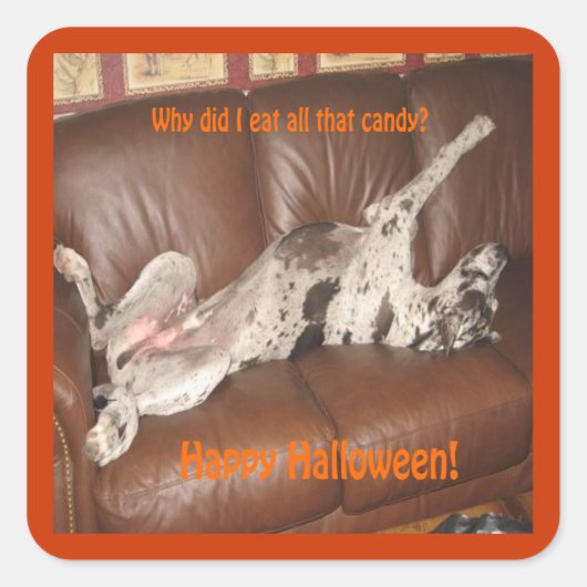Sticker Carré Great Dane Ate Too Much Halloween (Devant)