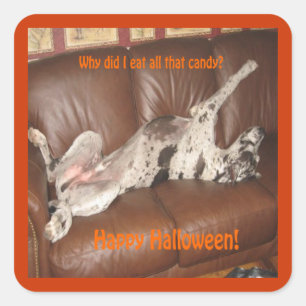 Sticker Carré Great Dane Ate Too Much Halloween