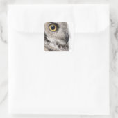 Sticker Carré Great Horned Owl (Sac)