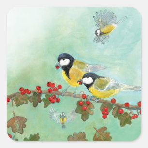 Sticker Carré Great Tit Birds & Hawthorn Red Berries