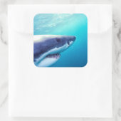 Sticker Carré Great White Shark | Afrique du Sud (Sac)