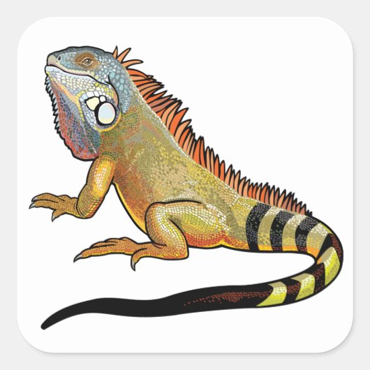 Sticker Carré green (Devant)