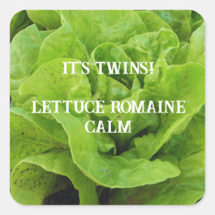 Sticker Carré Green C'est Twins Lettuce