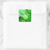 Sticker Carré Green feuille Palm Leaf feuillage tropical jungle (Sac)