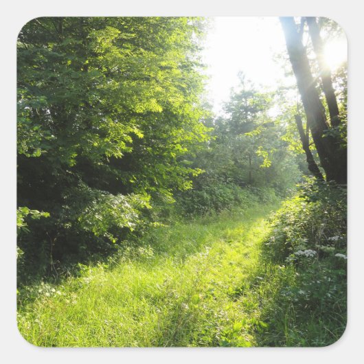 Sticker Carré Green Forest Meadow (Devant)