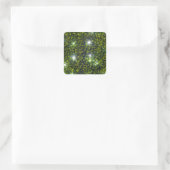 Sticker Carré Green Privet Hedge avec Starlight (Sac)