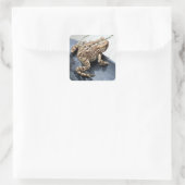 Sticker Carré Grenouille (Sac)