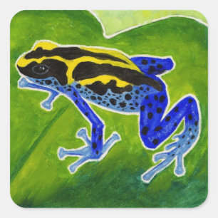 Sticker Carré Grenouille de la forêt tropicale bleue