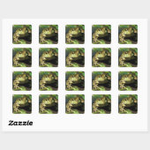 Sticker Carré Grenouille taureau. (Feuille)