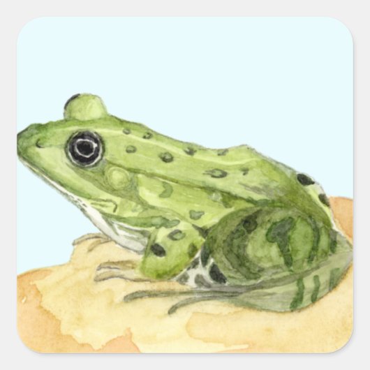 Sticker Carré Grenouille verte (Devant)