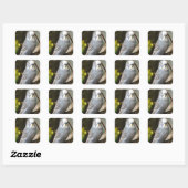 Sticker Carré Grey Budgie Bird (Feuille)