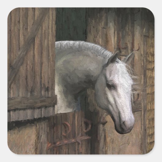 Sticker Carré Grey Horse (Devant)