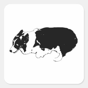 Sticker Carré Griffes rapides, grand sourire