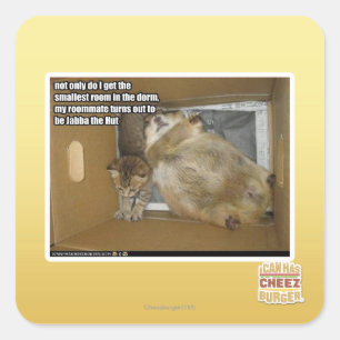 Sticker Carré Gros compagnon de chambre