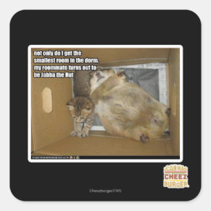 Sticker Carré Gros compagnon de chambre