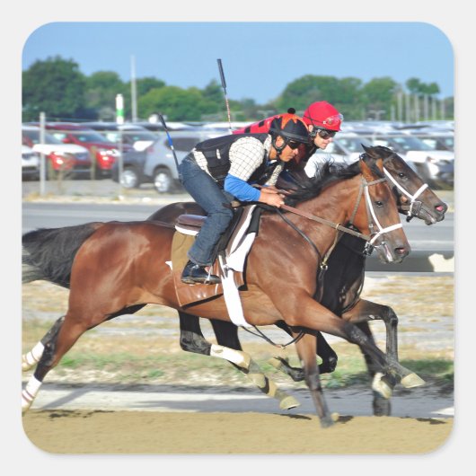 Sticker Carré Gros exercices Sandy (Devant)