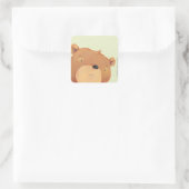 Sticker Carré Gros ours Brown (Sac)
