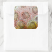 Sticker Carré Gros plan de corail rose (Sac)
