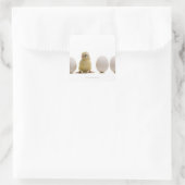 Sticker Carré Gros plan d'un bébé poussin avec trois oeufs (Sac)