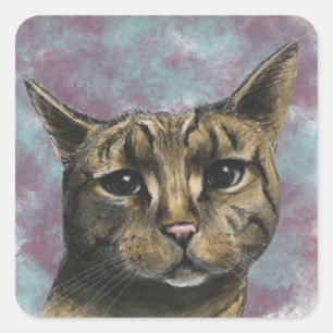 Sticker Carré Gros plan Tabby Cat Réaliste