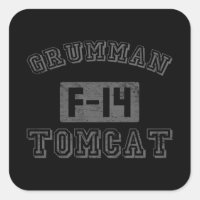 Grumman F-14 Tomcat
