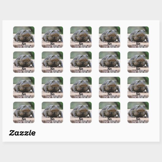 Sticker Carré Grumpy Old Toad (Feuille)