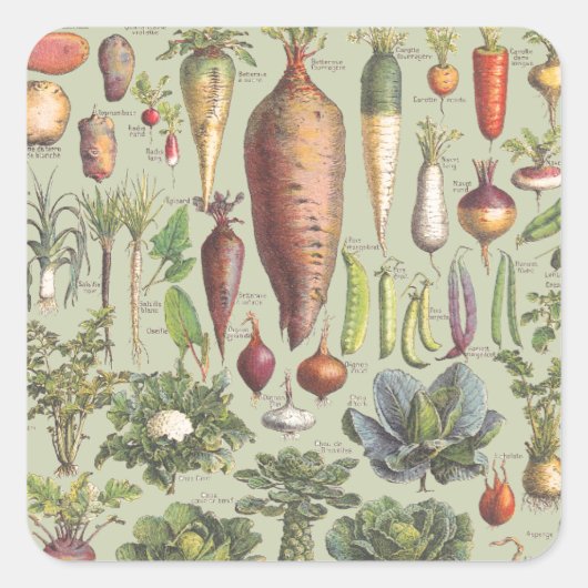 Sticker Carré Guide Français Du Jardin (Devant)