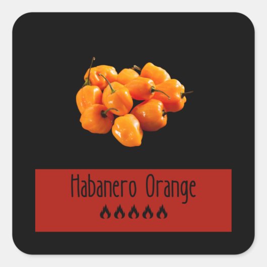 Sticker Carré Habanero Orange (Devant)