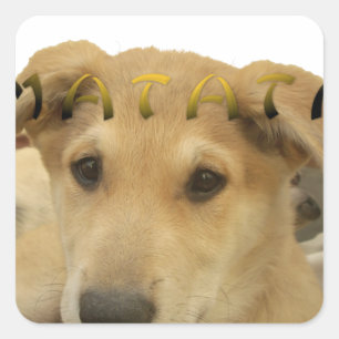 Sticker Carré Hakuna Matata Je sais ce que vous pensez pinctur