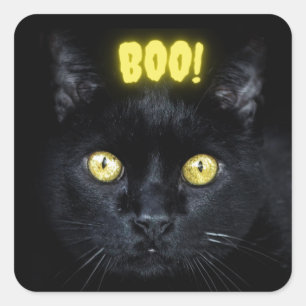Sticker Carré Halloween en chat noir éffrayant Boo
