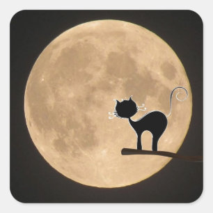 Sticker Carré Halloween gothique chat noir avec pleine lune