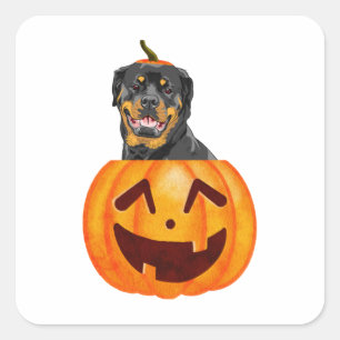 Sticker Carré Halloween Rottweiler