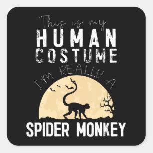 Sticker Carré Halloween Spider Monkey Horreur Déplaisante